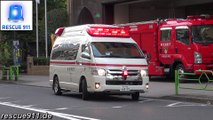 Ambulance Tokyo Fire Department Nihonbashi Fire Station (collection)