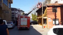 Bursa Fransa'dan Yapılan İhbar Üzerine Bursa'da Kedi Kurtarma Operasyonu