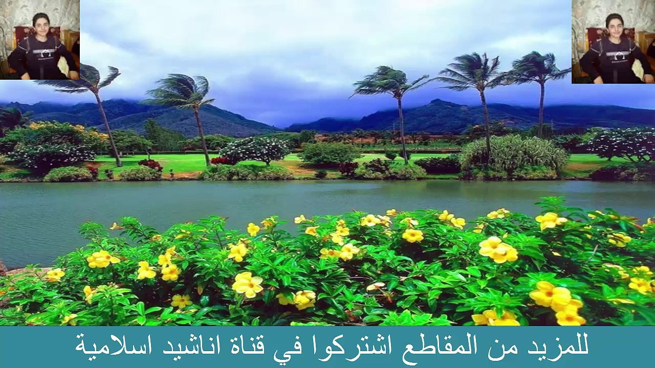 وايله