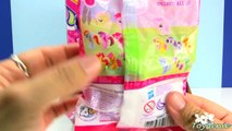 My Little Pony Fashems and Squishy Pops 2 Pack Blind Bags