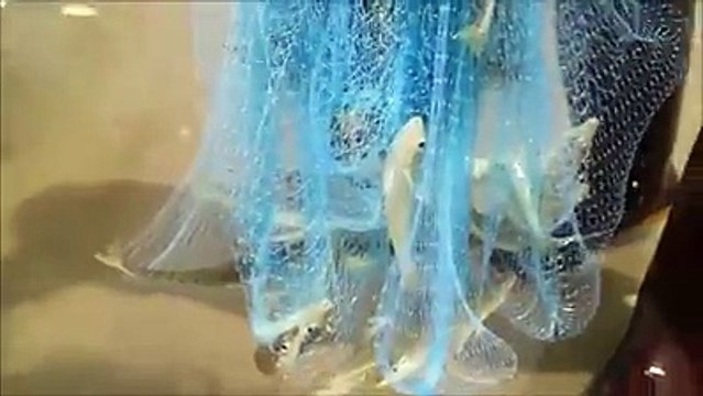 Rodrigo Contreras Lopez posted a video... - Rodrigo Contreras Lopez