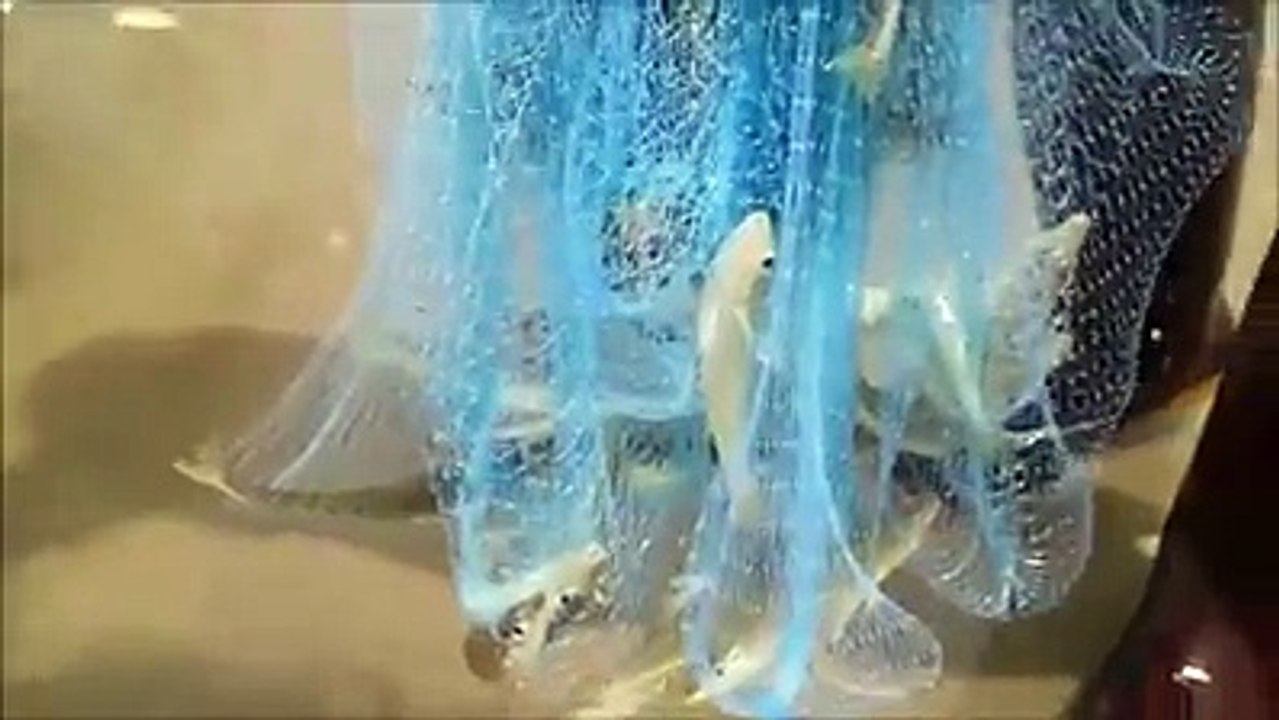 Rodrigo Contreras Lopez posted a video... - Rodrigo Contreras Lopez