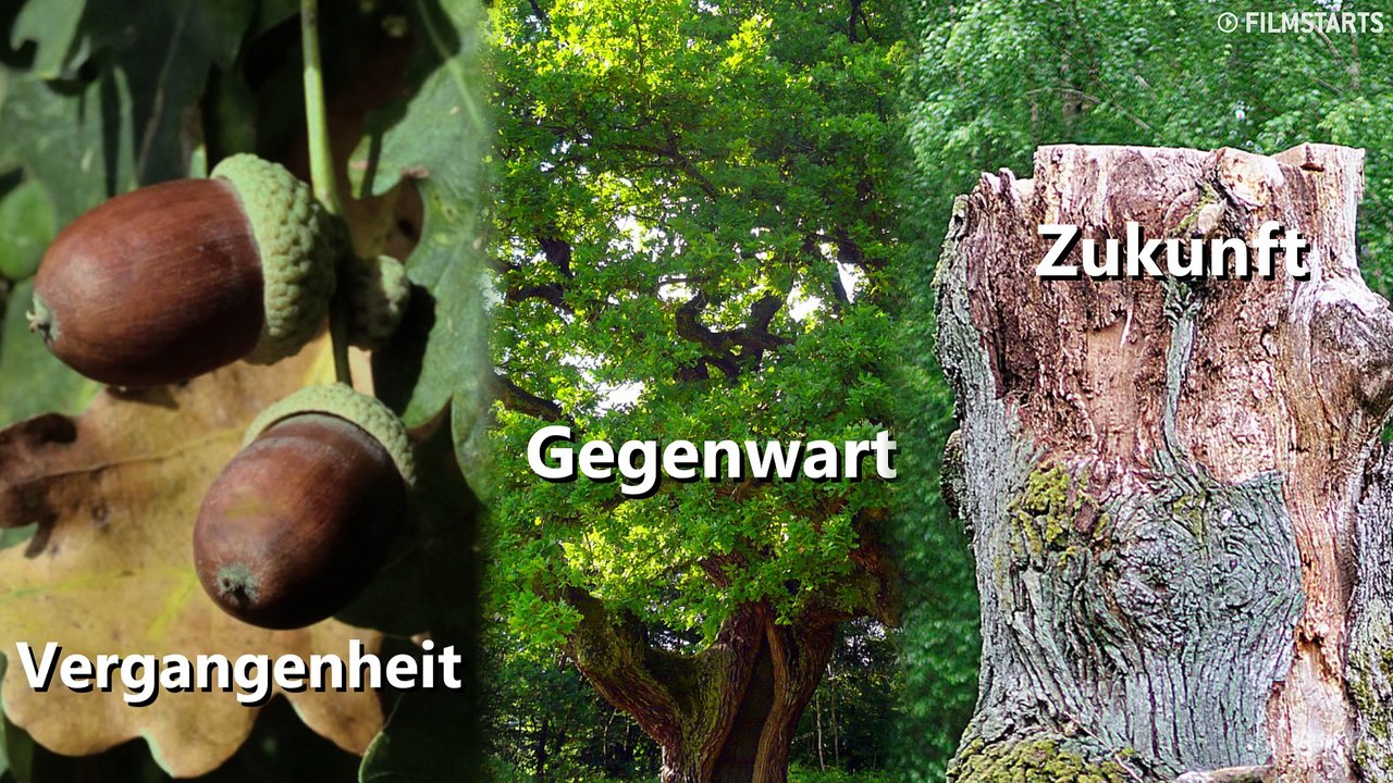 Was kann der 3 äugige Rabe - Brans Fähigkeiten - Game Of Thrones