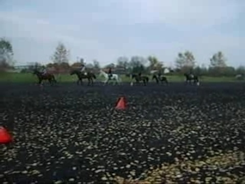 Le Cour de Dressage =D