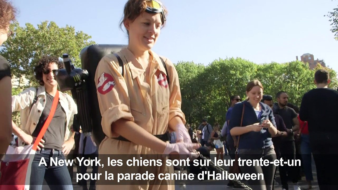 NY: Les chiens se font beaux pour la parade canine d'Halloween