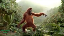Funny Ape Song. Cartoon Parody. Dance Music Pop So