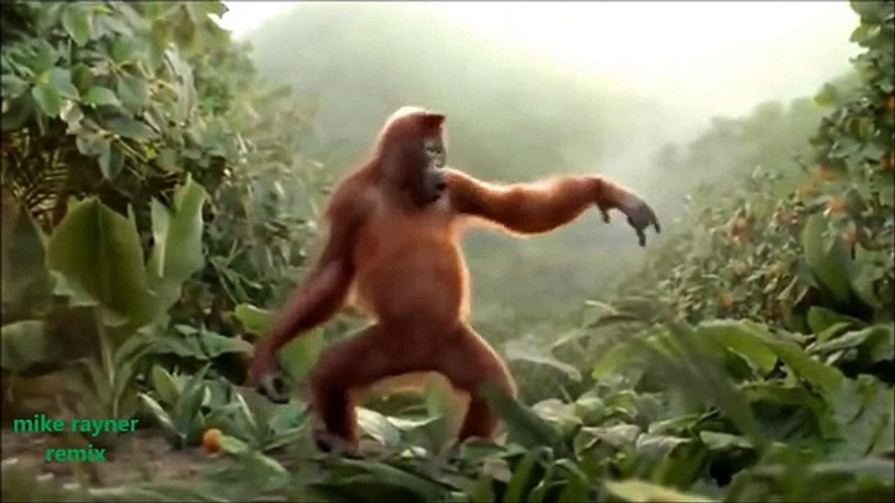 Funny Ape Song. Cartoon Parody. Dance Music Pop So