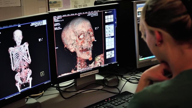 The Great Pyramid Mystery Has Finally Been Solved