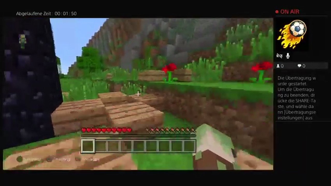 Minecraft (54)