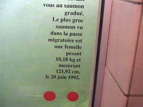 Matane-Passe à poissons (1)