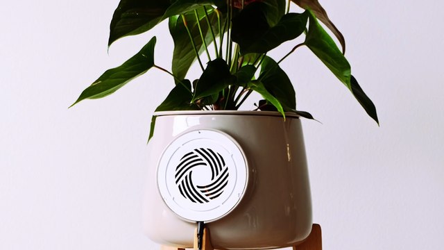 Freshen the air in your home with this smart planter
