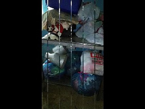 Bostan Mahallesi spot ikinci el eski eşya alanlar-0542 541 06 06