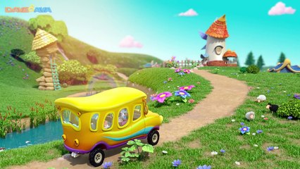 Kid Withcolorr Natures | Color Surfersweetie | Video Adorable Kid