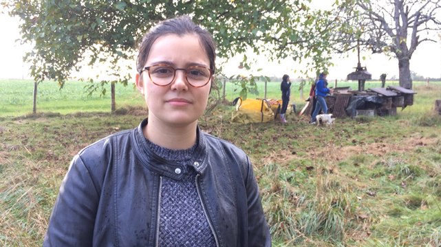 Cueillette de pommes pour les étudiants