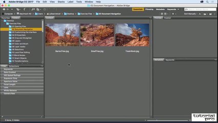 How To Work with multiple documents