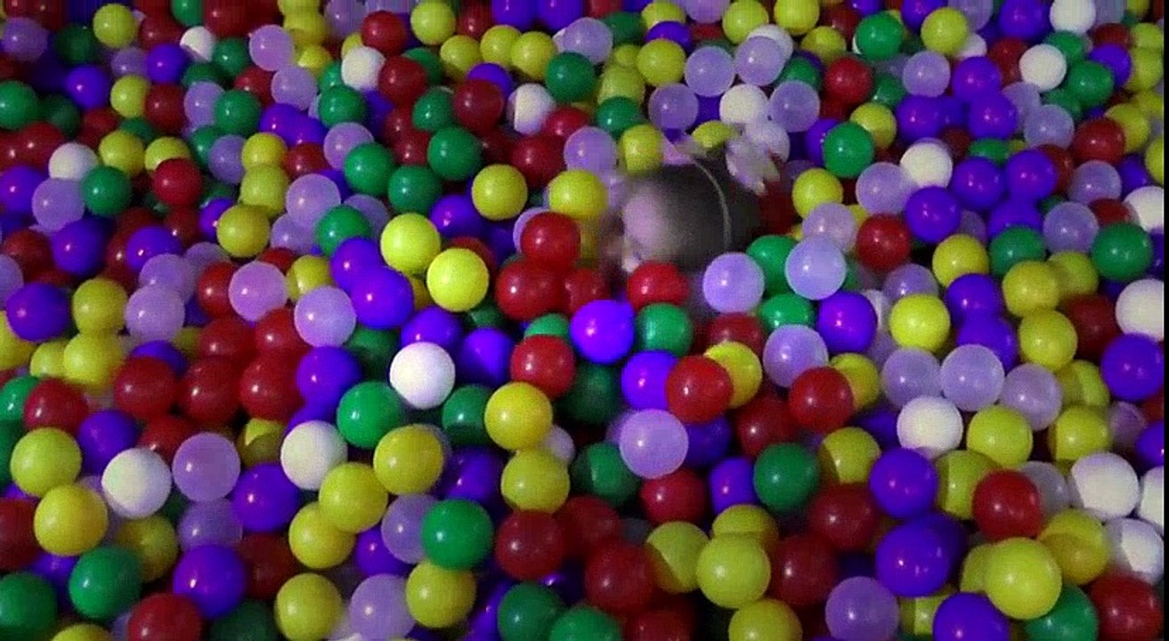 Indoor Playground Family Fun Play Area Johny Johny Yes Papa Nursery Rhyme Song for Kids Learn colors