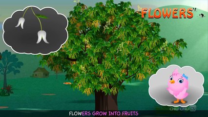 Flowers Crocodile| Bugcolumbia | Clip For Kid