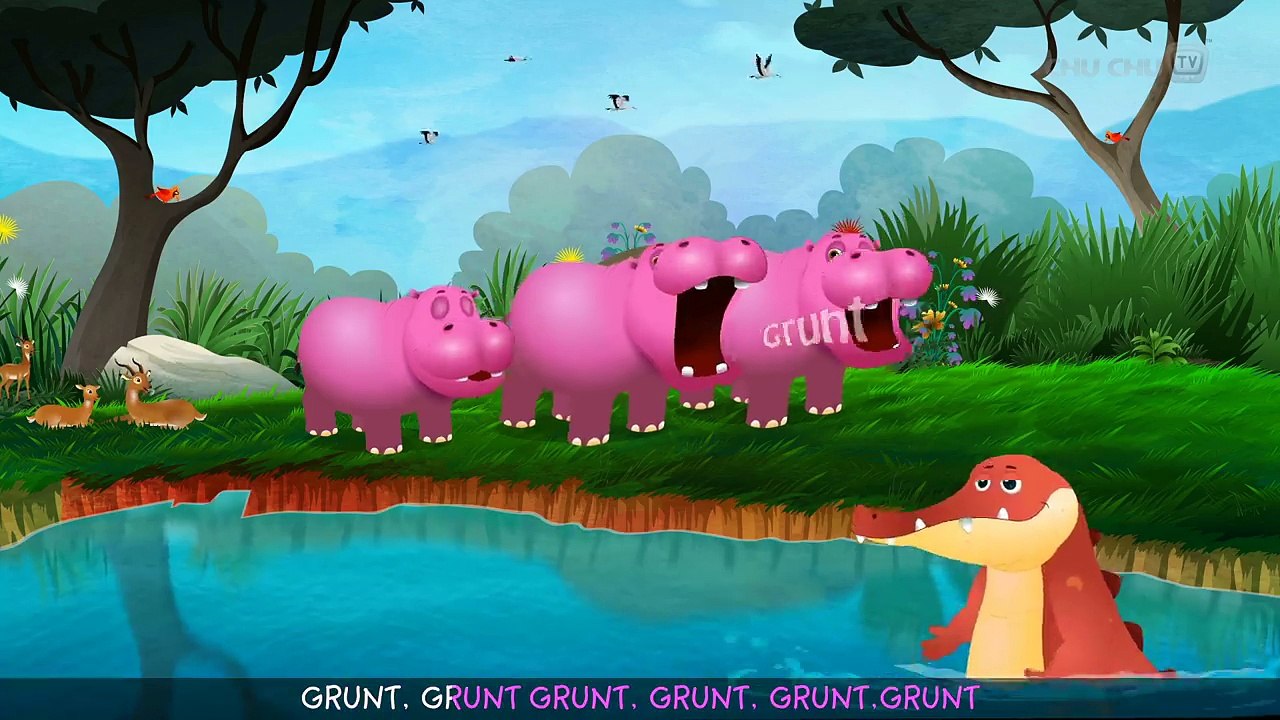 Guifde Crocodile| Bugcolumbia | Clip For Kid