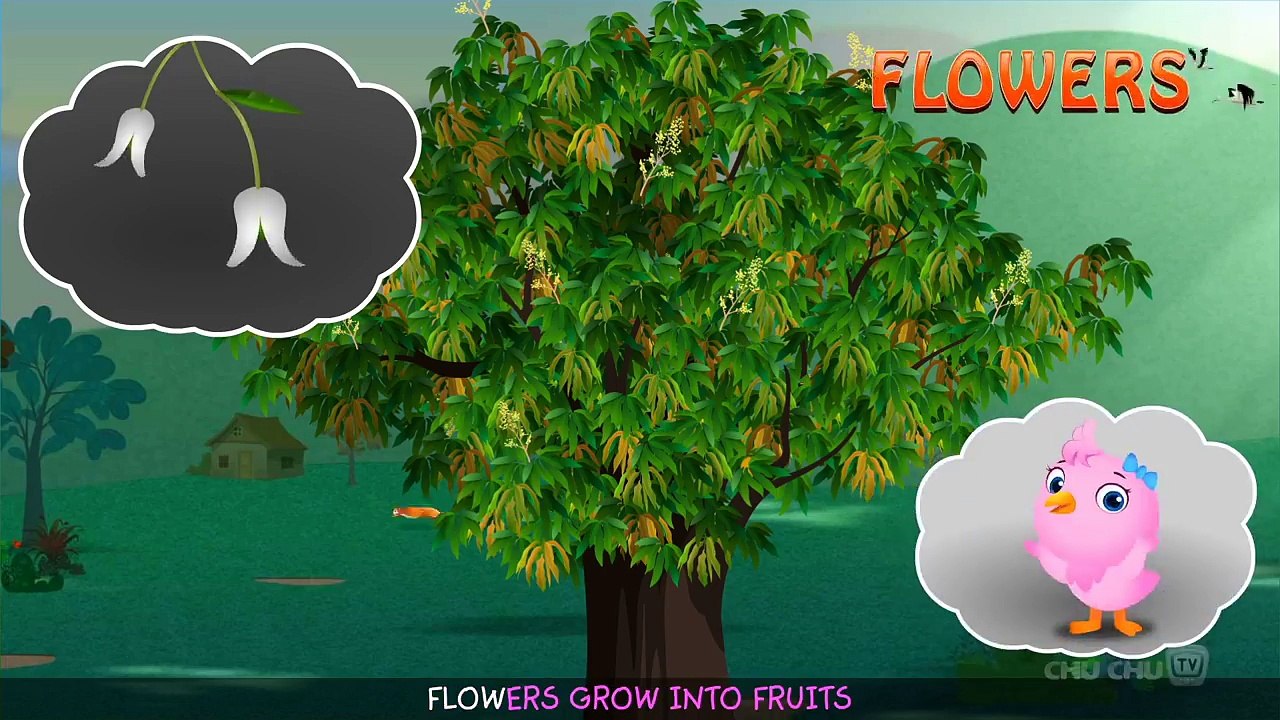 Noise Flowes ke|Clipboardwinnipeg| Farity Tales