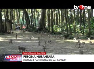 Misteri Makam Keramat dan Kawanan Kera Liar di Solear