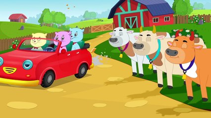 Three Cat COw | Flushedthelon | Happy For Kid