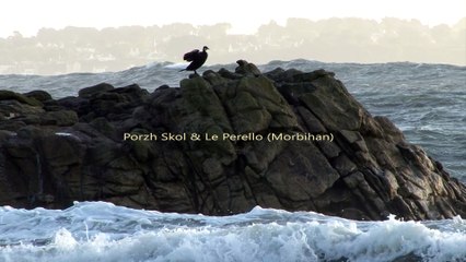 2017 Porzh Skol & Le Perello * Trigone Production