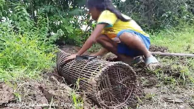 Amazing Little Sister and Brother Catch Big Snake Using Bamboo Fish Trap (Part 2)