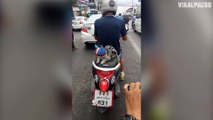 Cat Riding Pillion On Motorcycle.... AND Wearing Own Helmet!