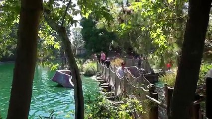 FORT WILDERNESS update + Construction views and commentary | 06-17-17 Pt. 4 [DL]