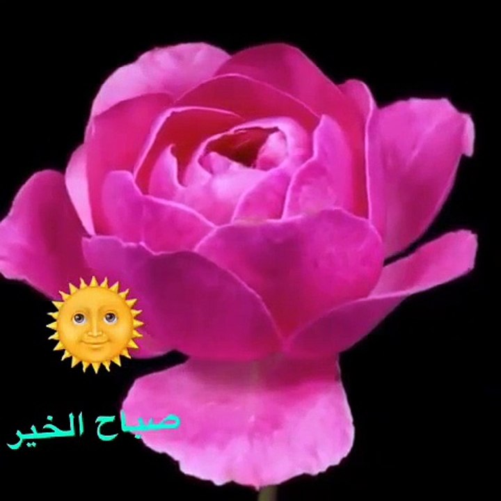 Subah ba khair
