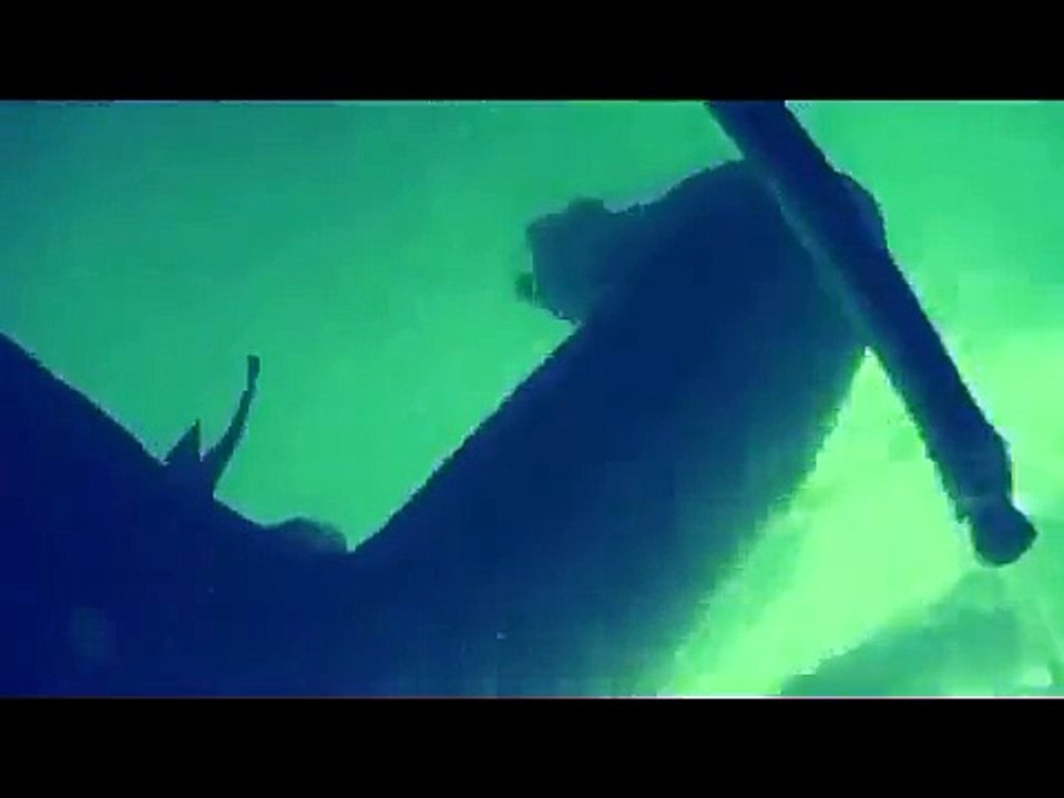 Подводная охота в Красноярском море