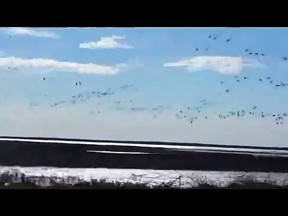 Охота на гуся в Калмыкии