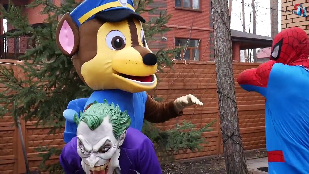 Hulk Crushed - Paw patrol transform to Hulk w/ Frozen Elsa Spiderman Joker Minion Rapunzel fun IRL