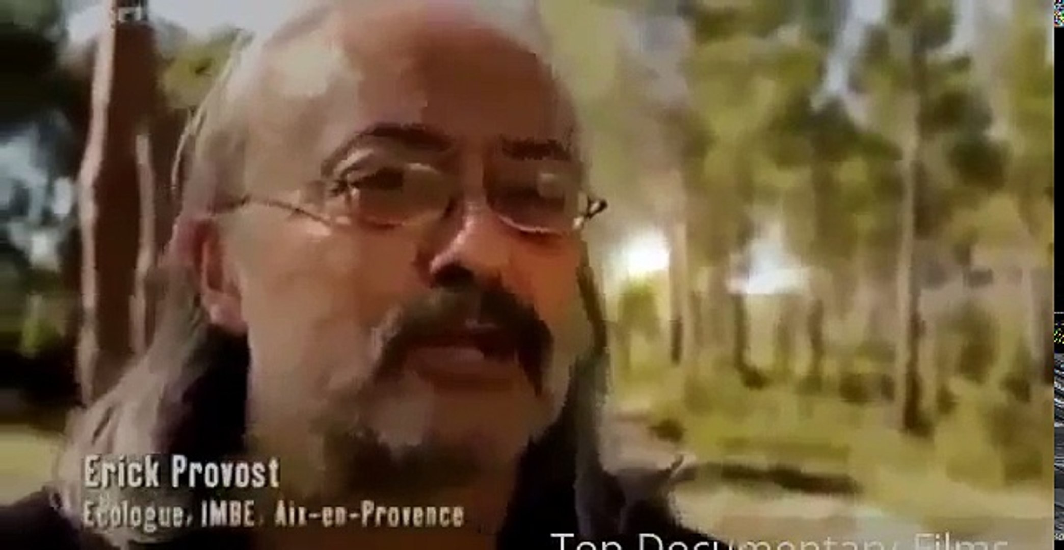 ⁣Documentary Ant Ants Documentary Channel Attack Of The Killer Ants