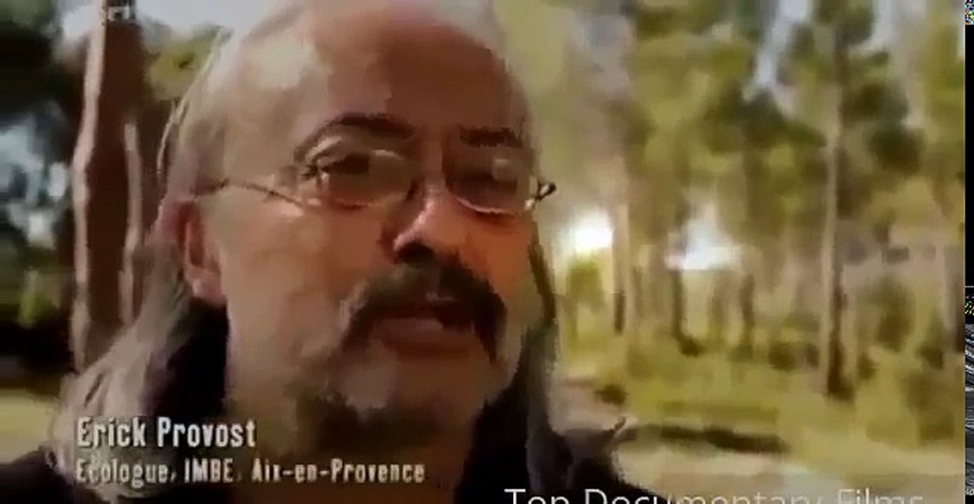 Documentary Ant Ants Documentary Channel Attack Of The Killer Ants