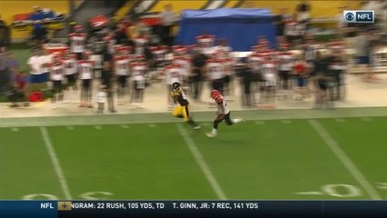 Trick play! Safety Robert Golden completes 44-yard pass on fake punt