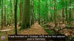 Top Tourist Attractions Places To Travel In Germany |Bavarian Forest National Park Destination Spot - Tourism in German