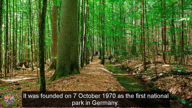 Top Tourist Attractions Places To Travel In Germany |Bavarian Forest National Park Destination Spot - Tourism in German