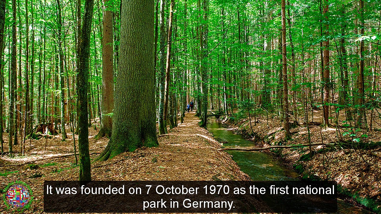 Top Tourist Attractions Places To Travel In Germany |Bavarian Forest National Park Destination Spot - Tourism in German