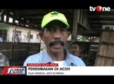 Dua Warga di Aceh Timur Jadi Sasaran Tembak