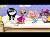 Best android games | Fun Pet Care Cat Makeover - Baby Play Fun Kitty Hair Care And Hair Salon Colors