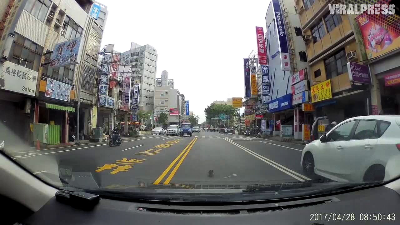 Driver Dodges Traffic To Rescue Kitten From Busy Road