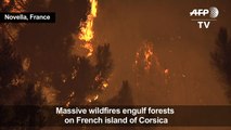 Corsica wildfire spreads across French island