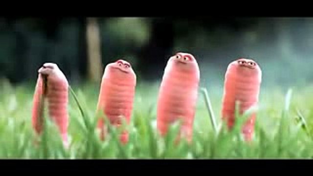 Animasi Ulat Lucu Video Animasi Ulat Lucu