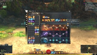 Elementalist PVE Power Staff Build And Guide | Guild Wars 2