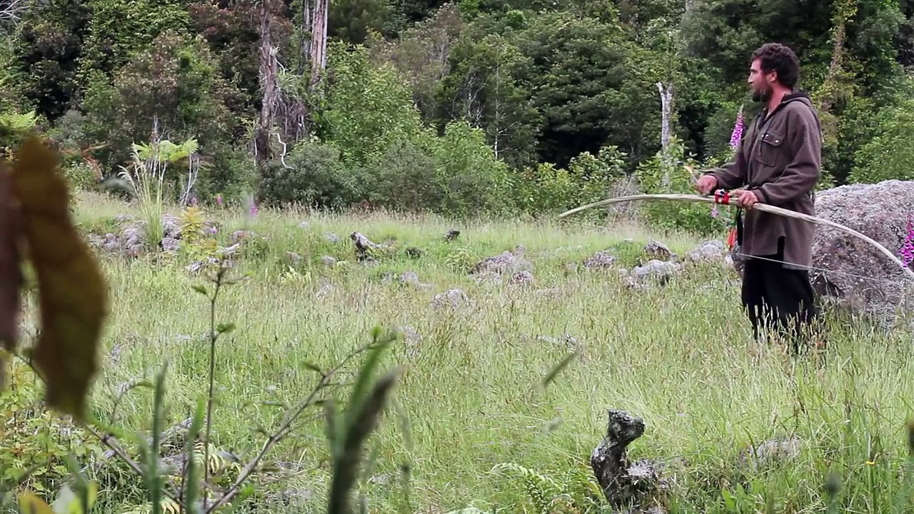 bow hunting goats with home made longbow