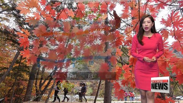 Chilly but sunny autumn day _ 102317