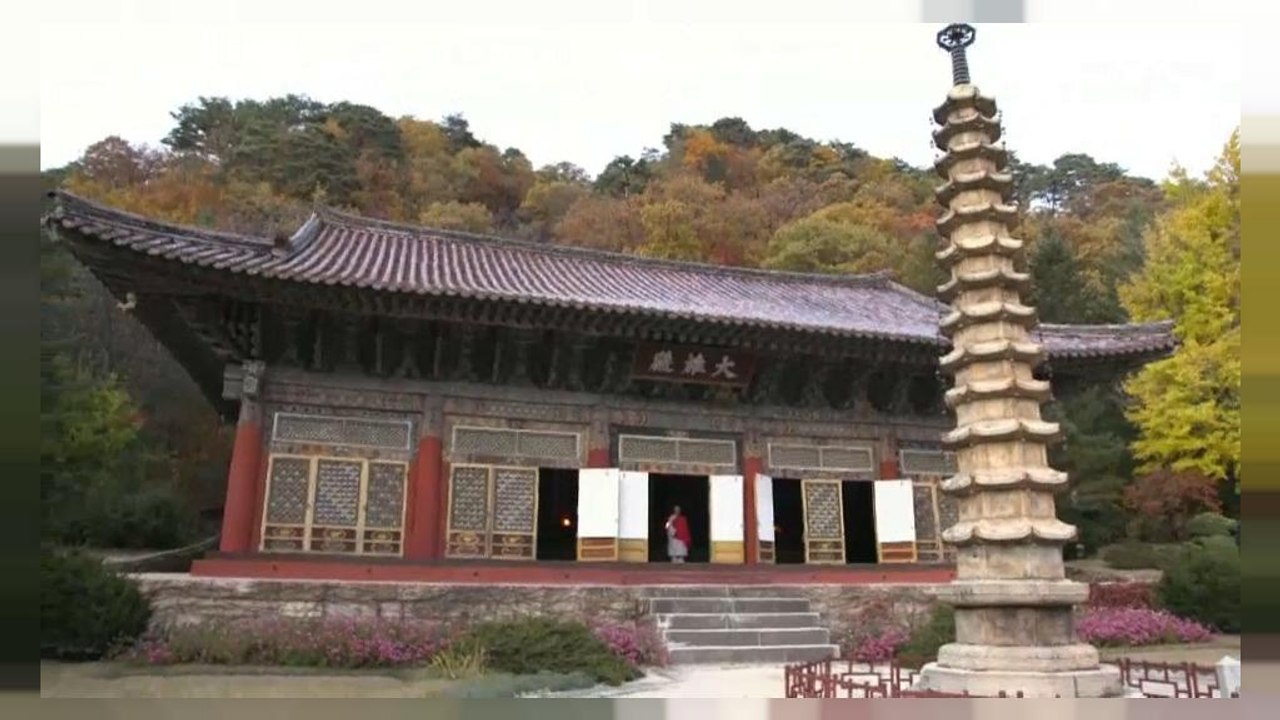 Kuzey Kore halkı savaş endişesi taşımıyor