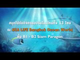 คริส ดีลิเวอรี่ : Spot Promote SEA LIFE Bangkok Ocean World [5 ธ.ค. 57]