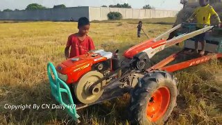 Amazing Children Catch Big Village Snake Near Hand Tror - How To Catch Big Snake In The Field